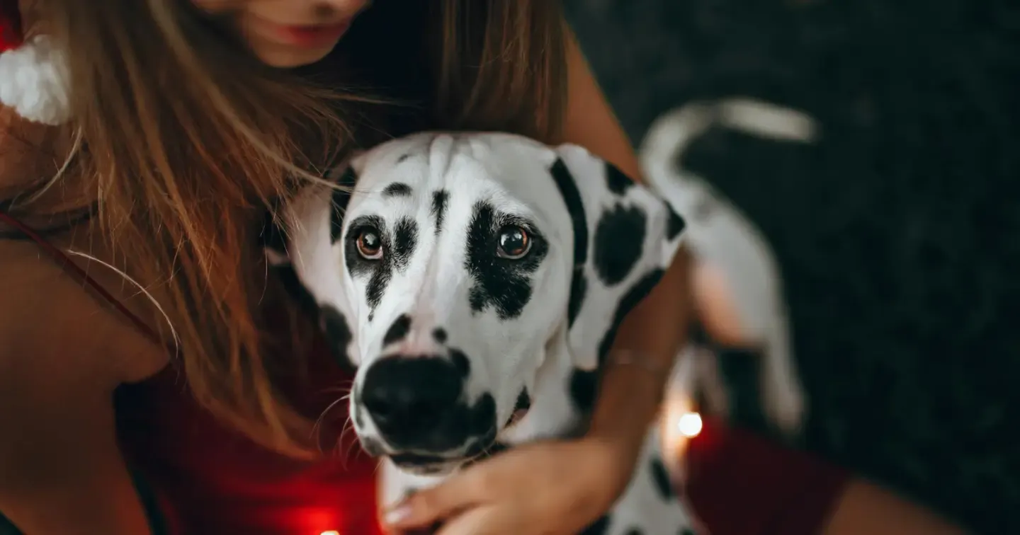 28a6fed6 8f24 4036 8ad8 43a409bfbd78