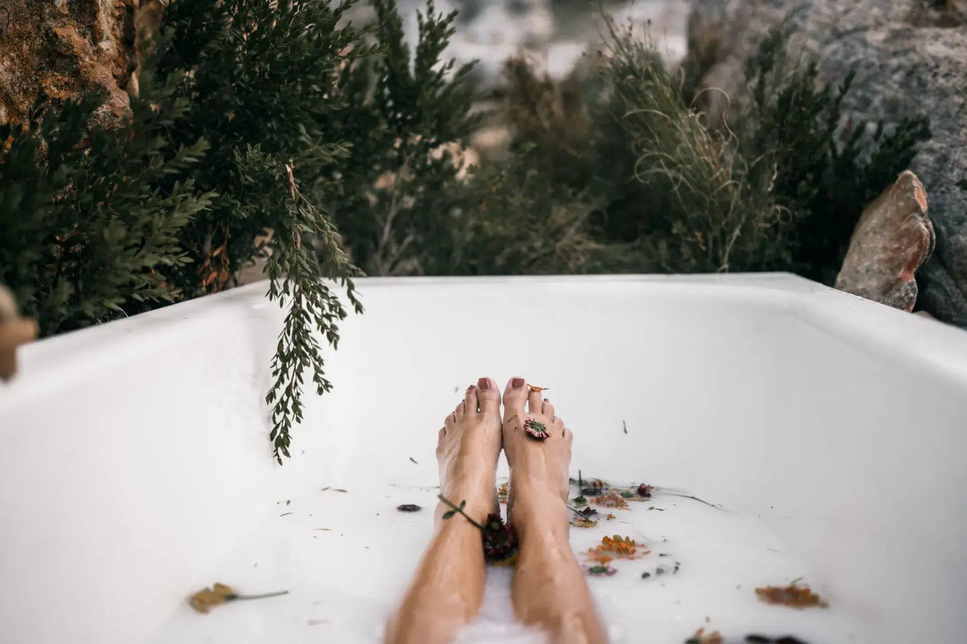 Pexels Taryn Elliott 8096930