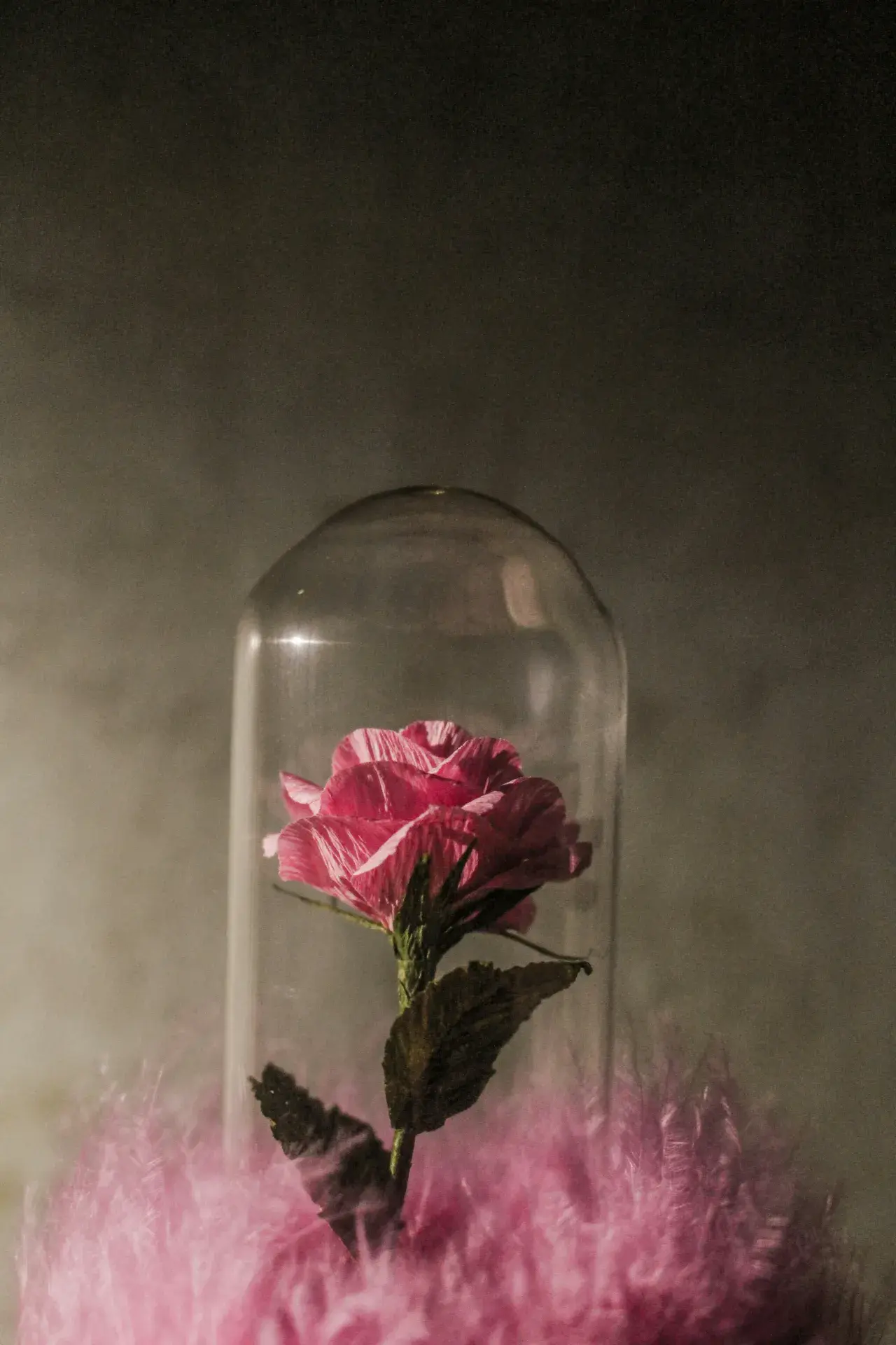 Anjanette Almocera 2jikyrx5yk8 Unsplash