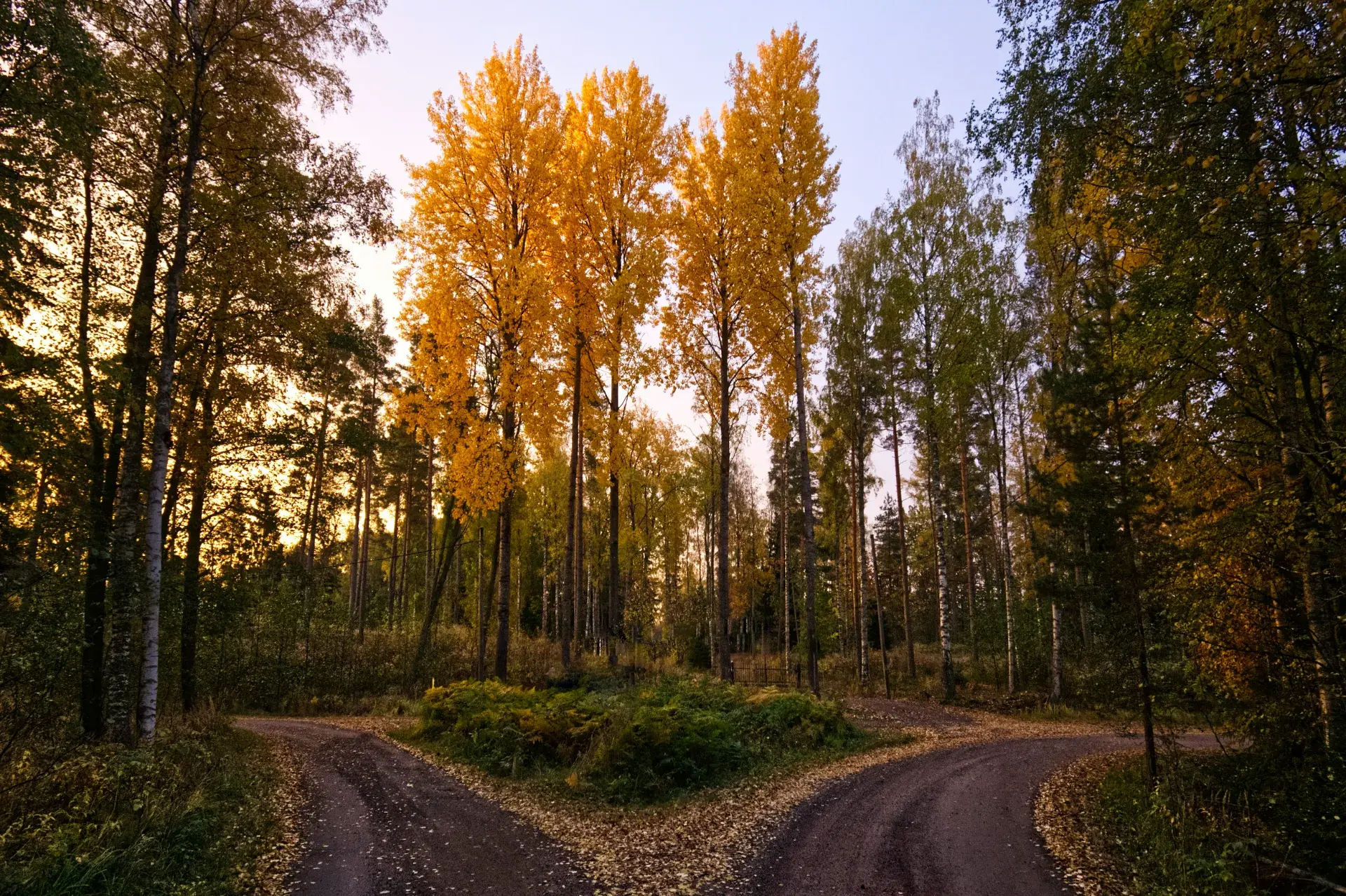 Henry Schneider Sc8xkk8pae0 Unsplash